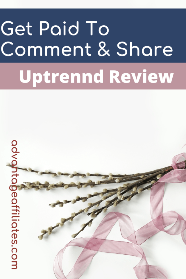 Uptrennd Review - Pin