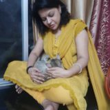 giving reiki to pets