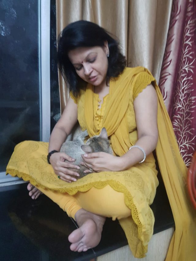 giving reiki to pets
