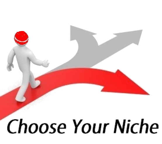 What is a niche -Tips on how to choose a niche.