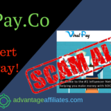 viral pay review