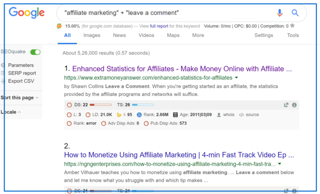 affiliate marketing leave a comment Google Search