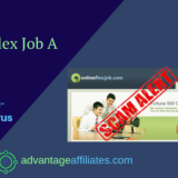 homepage online flex job