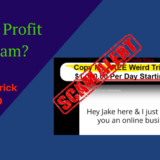 feature image of instant profit sites review