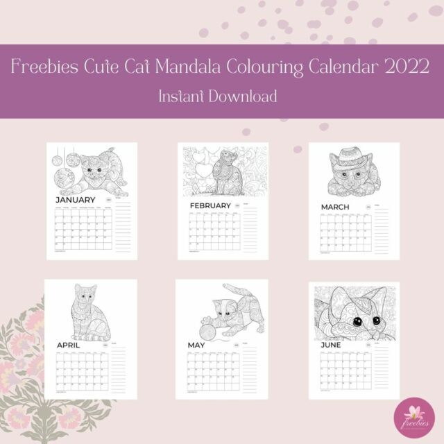 cute cat mandala calendar