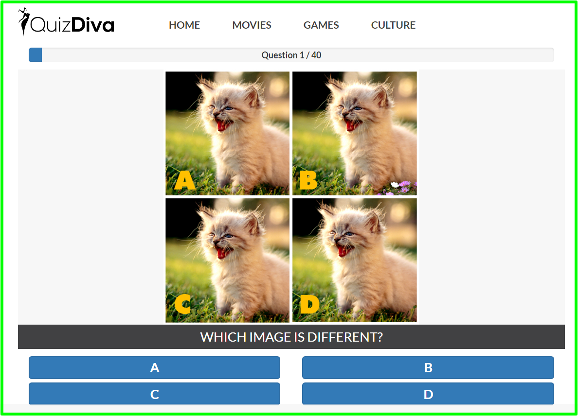 quiz diva sprot the difference