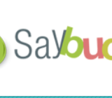 logo saybucks review
