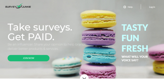 homepage of survey junkie