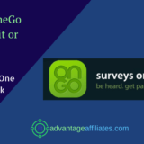 surveys on the go review