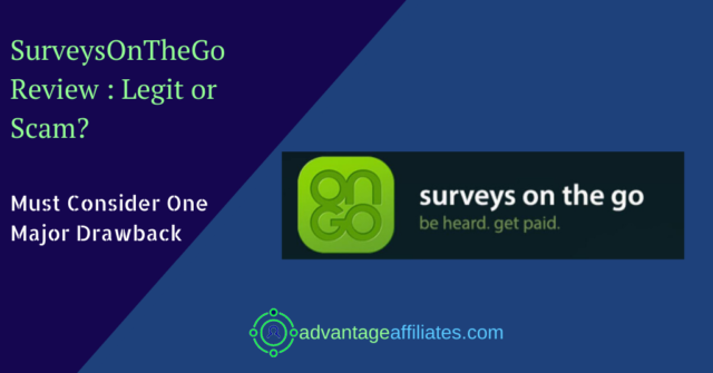 surveys on the go review