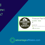 review of pinecoin paid surveys